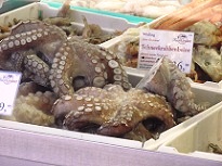 Oktopus und andere Viechereien